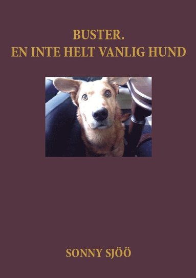 bokomslag Buster : en inte helt vanlig hund