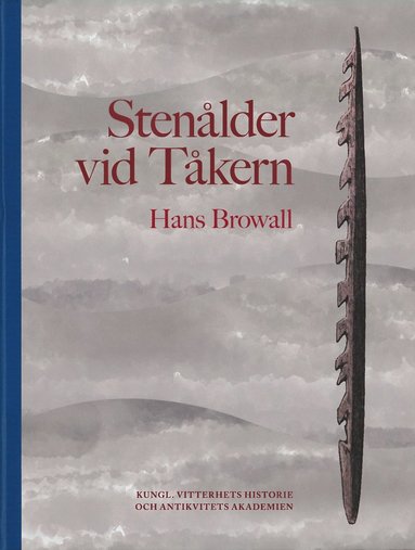 bokomslag Stenålder vid Tåkern