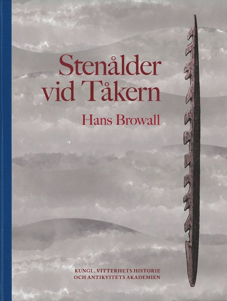 Stenålder vid Tåkern 1