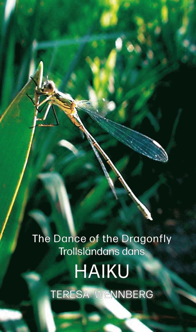 The dance of the Dragonfly / Trollsländans dans 1