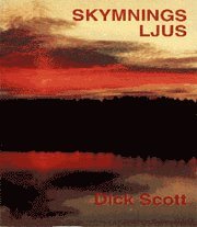 Skymningsljus