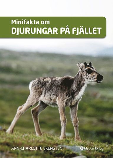 bokomslag Minifakta om djurungar på fjället