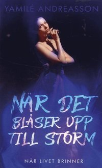 bokomslag När det blåser upp till storm