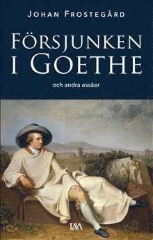 bokomslag Försjunken i Goethe och andra essäer