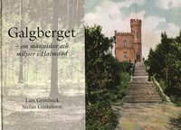 bokomslag Galgberget : om människor och miljöer i Halmstad