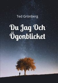 bokomslag Du, jag och ögonblicket