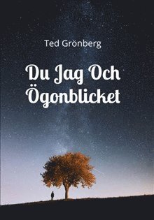 bokomslag Du, jag och ögonblicket