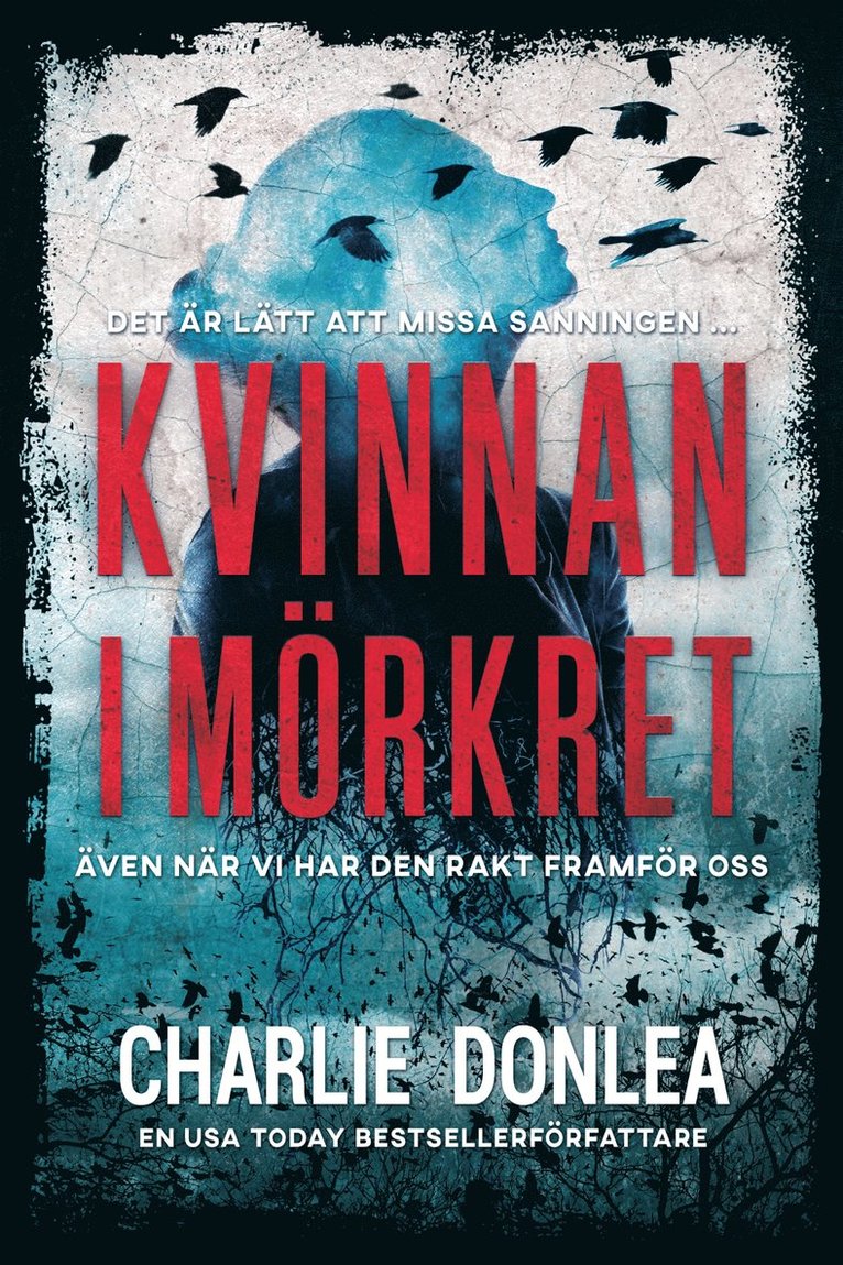 Charlie Donlea - Kvinnan i mörkret, Häftad