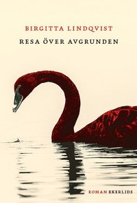 bokomslag Resa över avgrunden