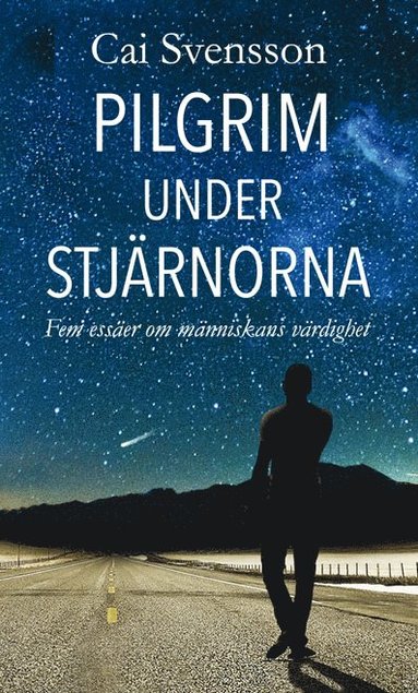 bokomslag Pilgrim under stjärnorna