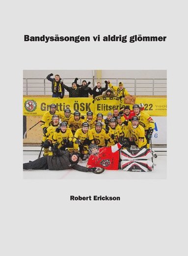 bokomslag Bandysäsongen vi aldrig glömmer