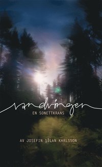bokomslag Vandringen