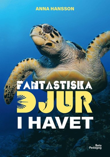 bokomslag Fantastiska djur i havet