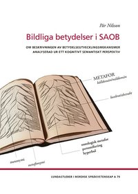bokomslag Bildliga betydelser i SAOB