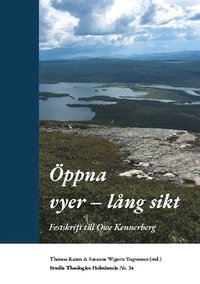 bokomslag Öppna vyer - lång sikt : festskrift till Owe Kennerberg