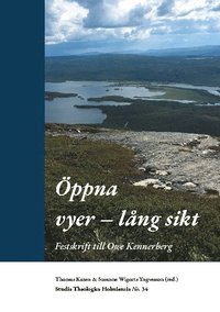 bokomslag Öppna vyer - lång sikt : festskrift till Owe Kennerberg