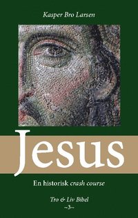 bokomslag Jesus : en historisk crash course