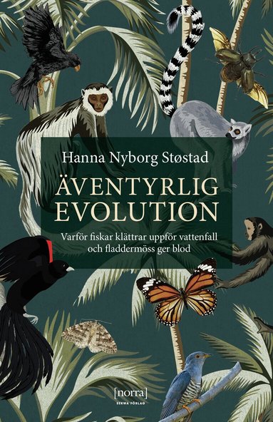Hanna Nyborg Støstad - Äventyrlig evolution : varför fiskar klättrar uppför vattenfall och fladdermöss ger blod, Pocket