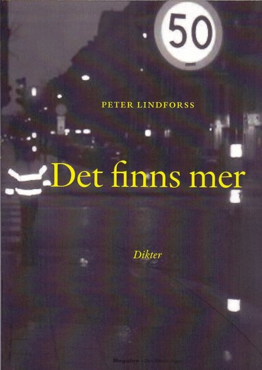 bokomslag Det finns mer : dikter på svenska och engelska