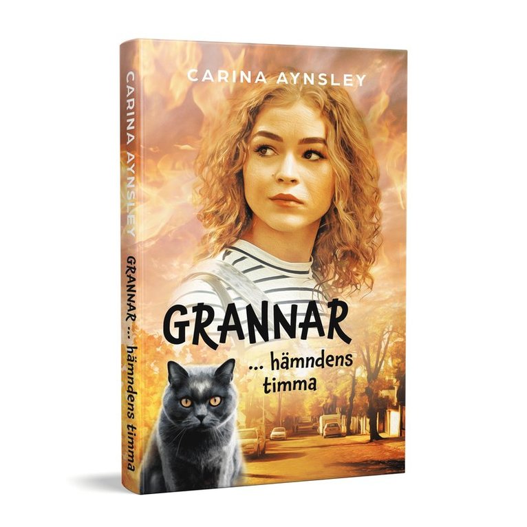 Carina Aynsley - Grannar - hämndens timma, Pocket
