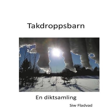 bokomslag Takdroppsbarn