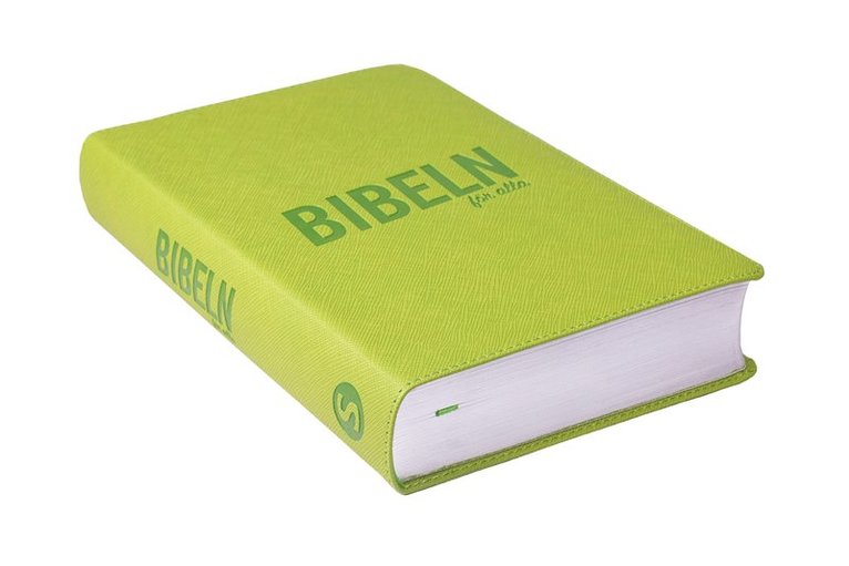 Bibeln för alla : grön 1