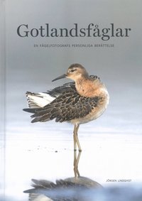 bokomslag Gotlandsfåglar