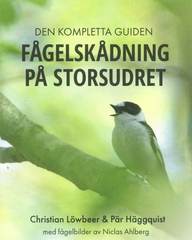 bokomslag Fågelskådning på Storsudret