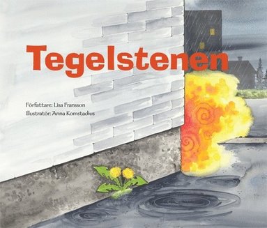 bokomslag Tegelstenen