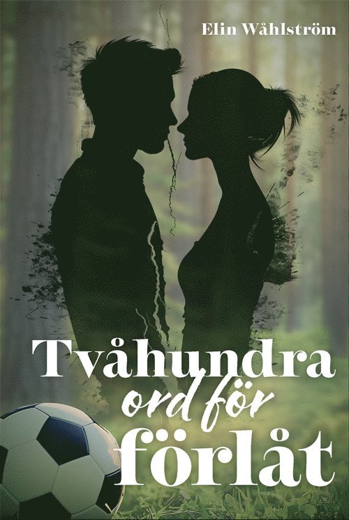 Tvåhundra ord för förlåt