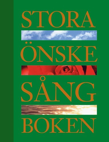 bokomslag Stora önskesångboken