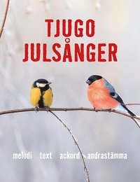 bokomslag Tjugo Julsånger tvåstämmiga