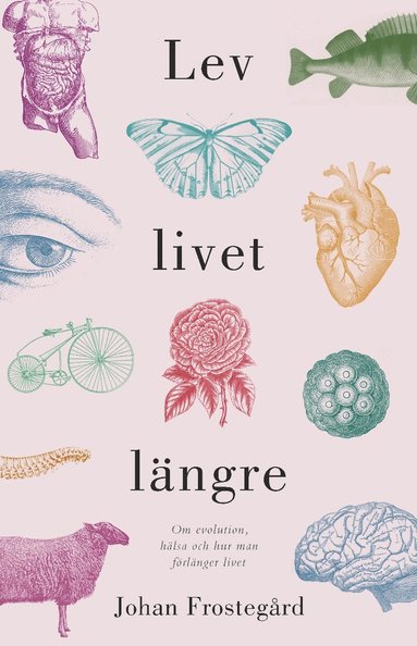 bokomslag Lev livet längre : om evolution, hälsa och hur man förlänger livet