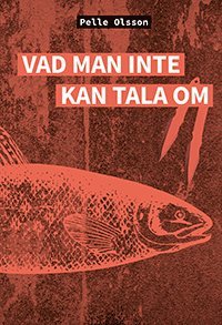 bokomslag Vad man inte kan tala om