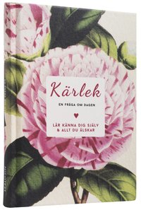 bokomslag En fråga om dagen kärlek