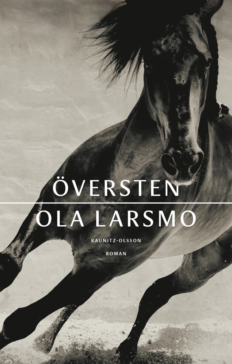 Ola Larsmo - Översten, Inbunden