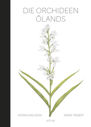 bokomslag Die Orchideen Ölands