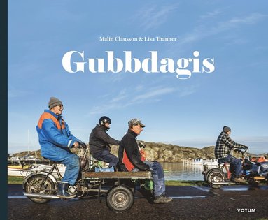 bokomslag Gubbdagis