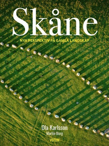 bokomslag Skåne : nya perspektiv på gamla landskap