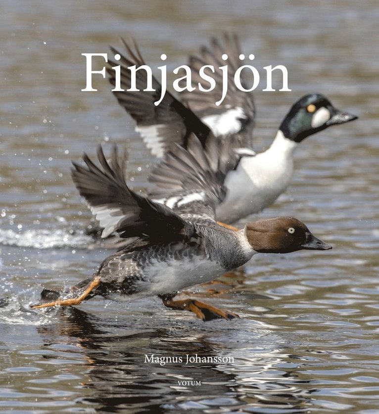 Magnus Johansson - Finjasjön, Inbunden