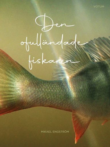 bokomslag Den ofulländade fiskaren