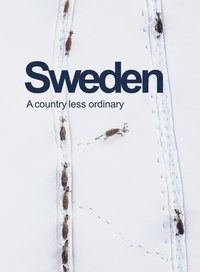 bokomslag Sweden : a country less ordinary