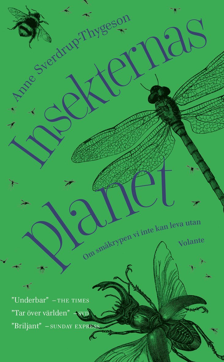 Insekternas planet 1