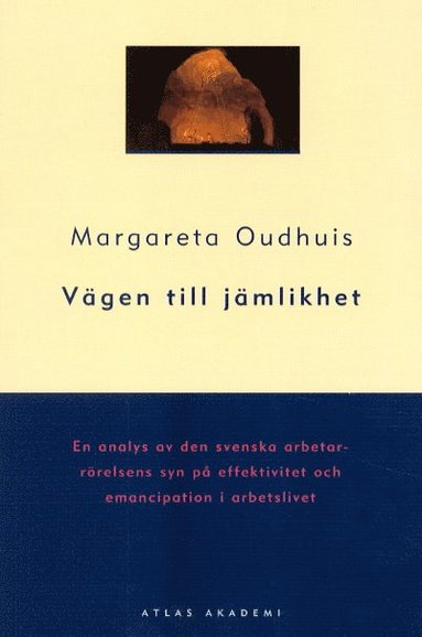bokomslag Vägen till jämlikhet