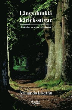 Armando Liscano - Längs dunkla kärleksstigar : berättelser om möten i gränslandet, Häftad