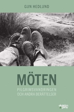 Möten : pilgrimsvandringen och andra berättelser 1