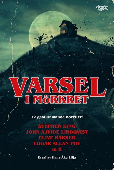 bokomslag Varsel i mörkret