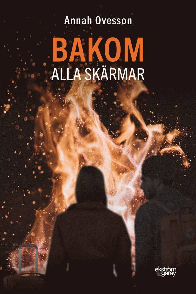 Bakom alla skärmar