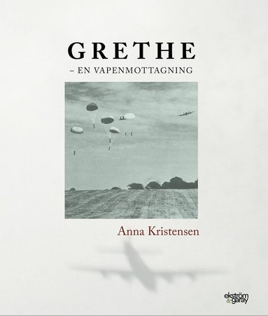 bokomslag Grethe : en vapenmottagning