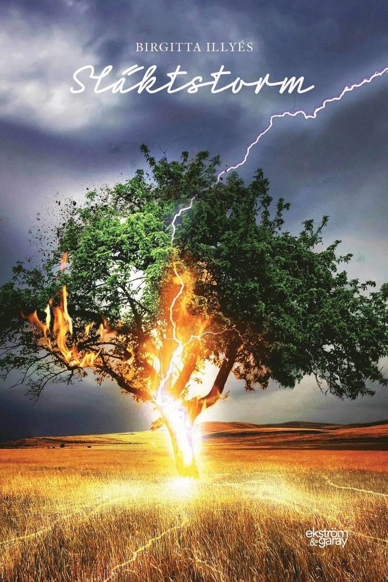 Birgitta Illyés - Släktstorm, Häftad
